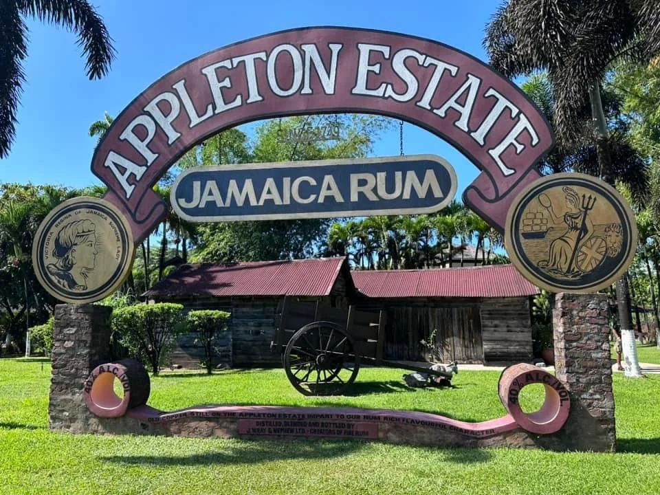 Negril Beach and Sunset Tour