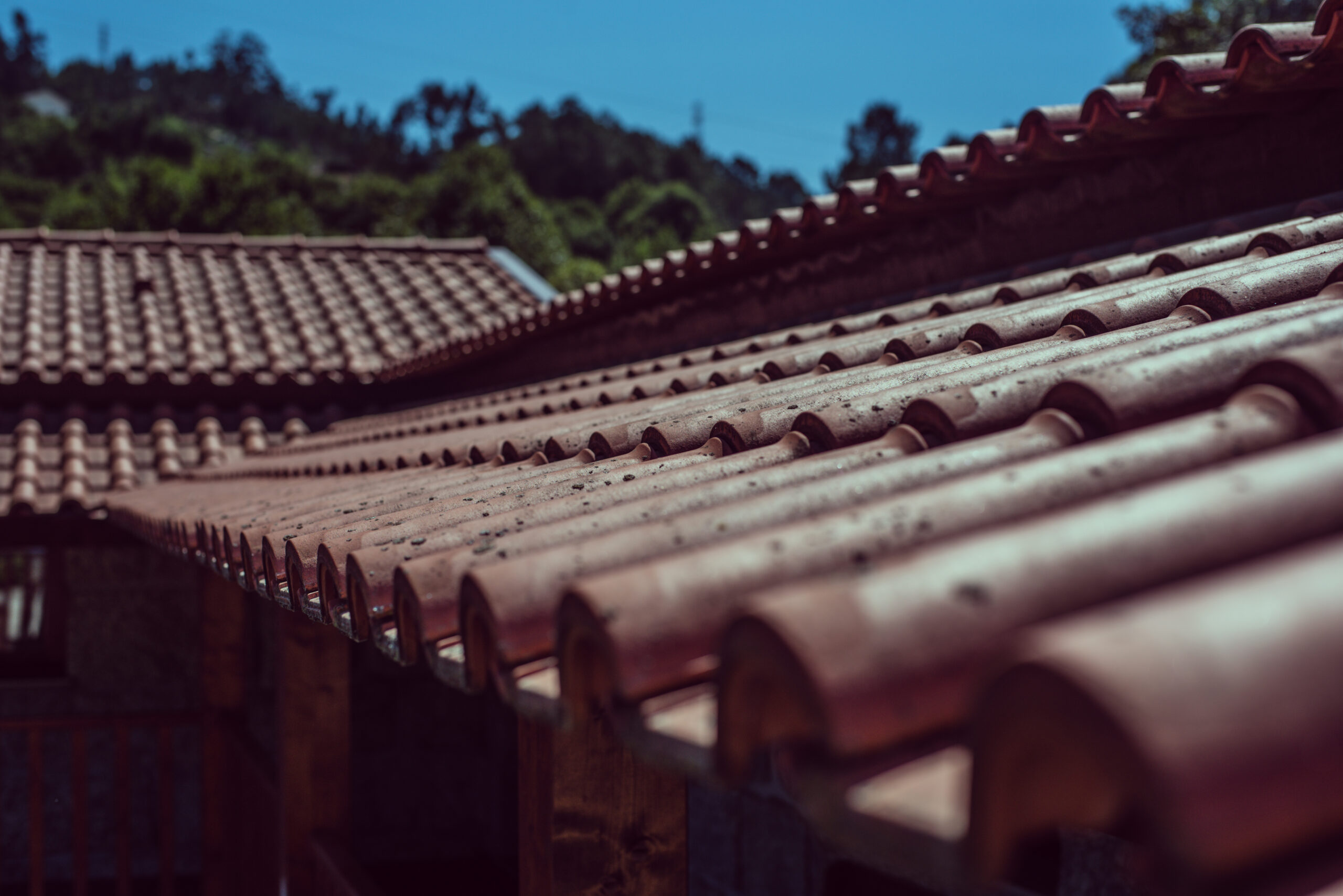 Roofing Services in Saddle Brook