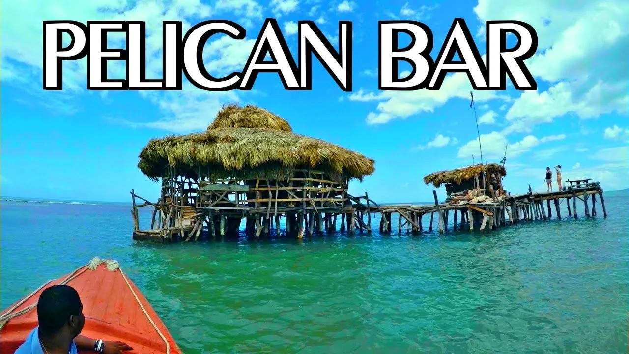 YS Falls and Pelican Bar Tour