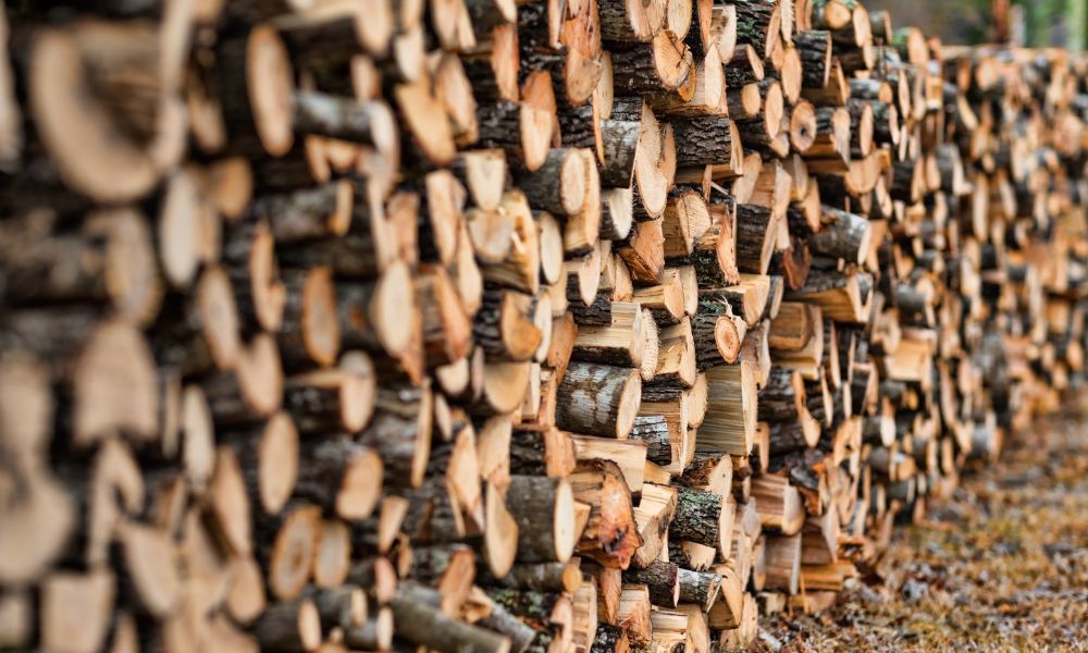 Same-Day Firewood Delivery Near Me Premium Hardwood Options